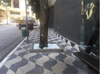 Photo of a sidewalk with a tree planted in the center of the pathway.